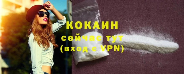 дживик Богородск