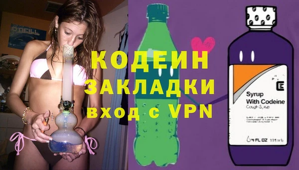 дживик Богородск