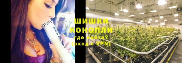 дживик Богородск